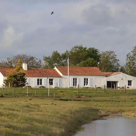 Maison De Charme Au Coeur Des Marais Pour 6 Pers. Bouin  Eksteriør billede