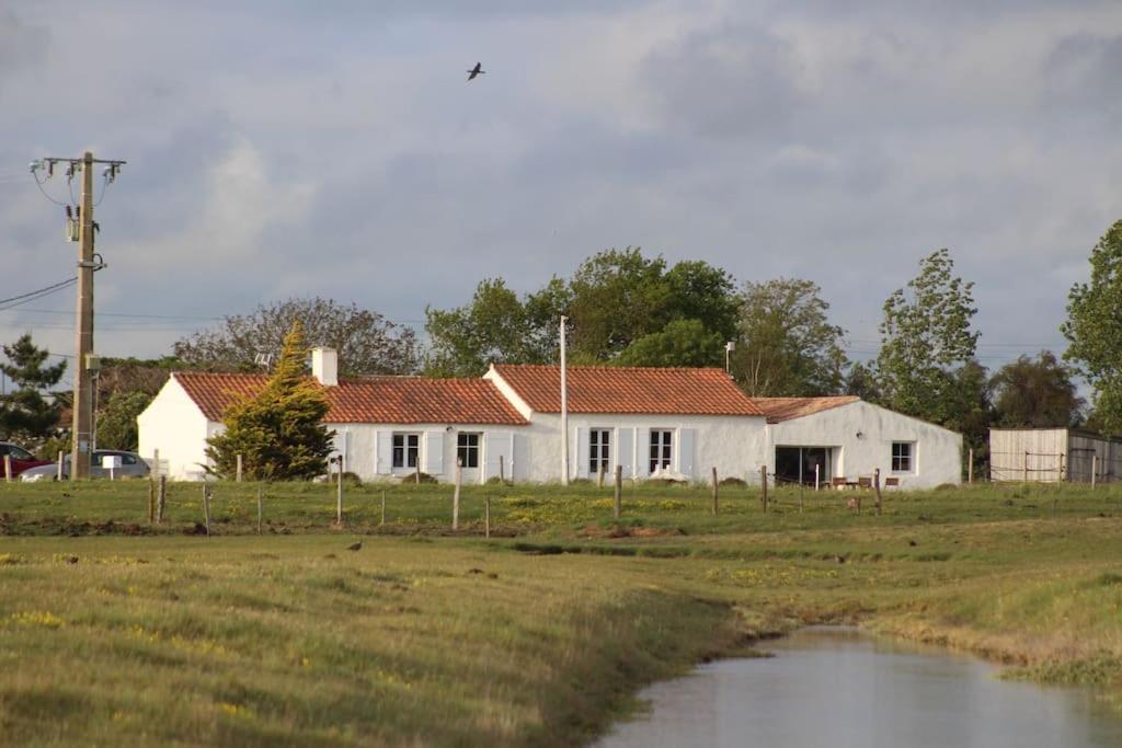 Maison De Charme Au Coeur Des Marais Pour 6 Pers. Bouin  Eksteriør billede